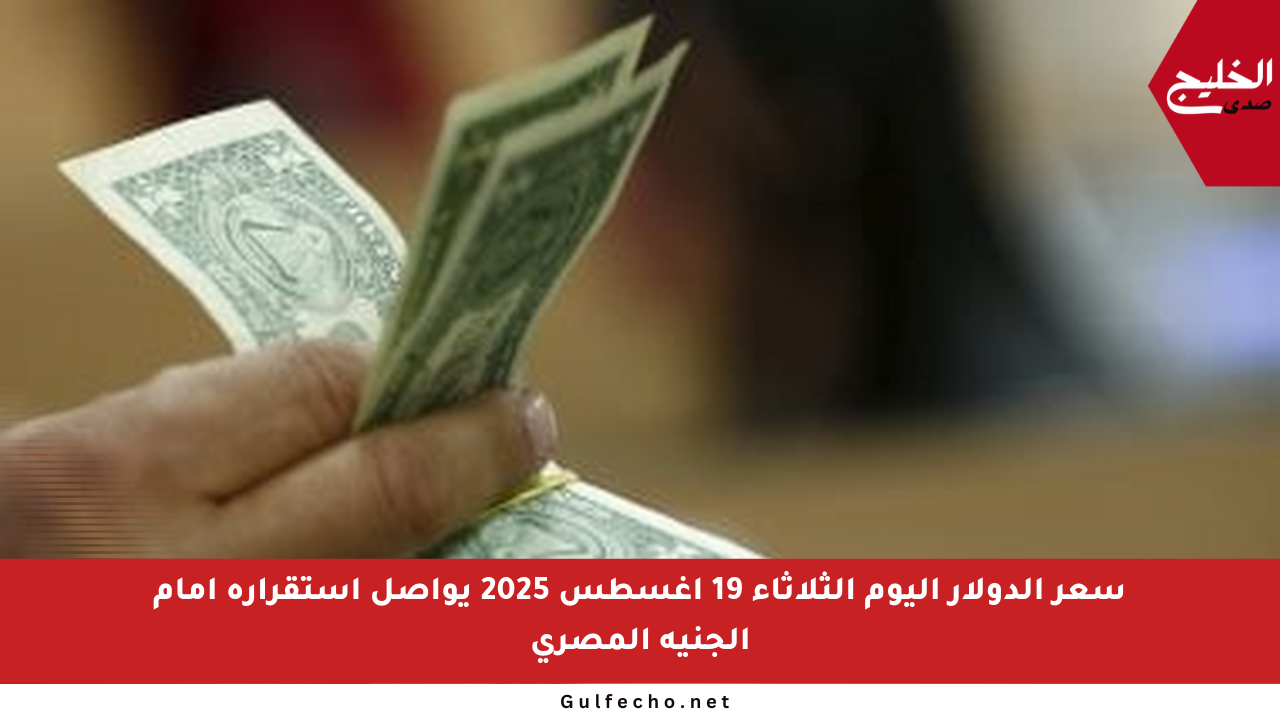 سعر الدولار اليوم الثلاثاء 19 أغسطس 2025 يواصل استقراره أمام الجنيه المصري